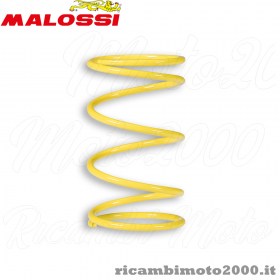 malossi 2916459y0